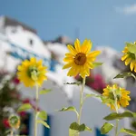Apartman Annio Santorini