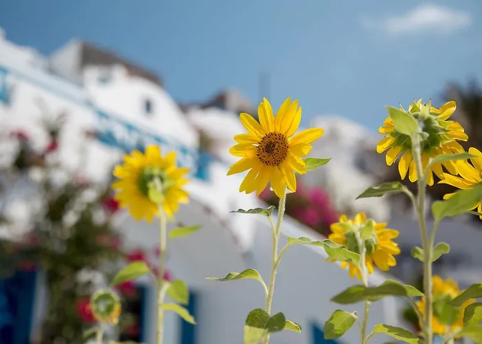 Apartament Annio Santorini